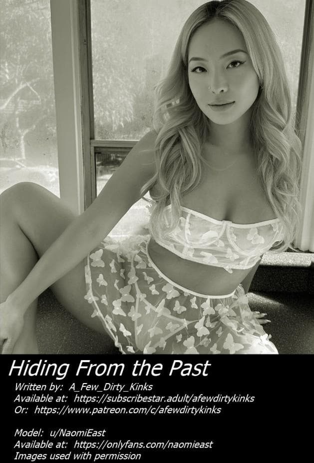 Hiding From the Past - 8 chapters, 113 slides - Link in comments