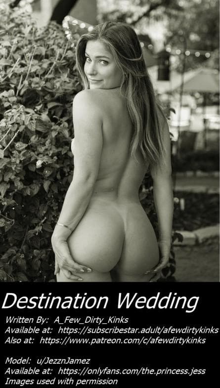Destination Wedding - Chapters 1 through 7 - Link in comments
