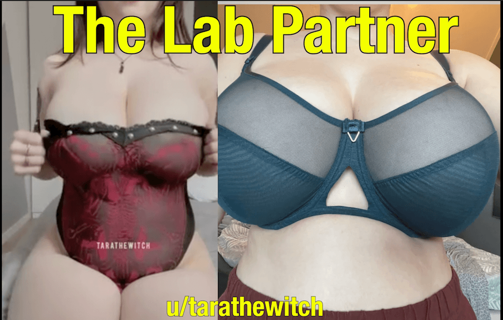 The Lab Partner Part 2