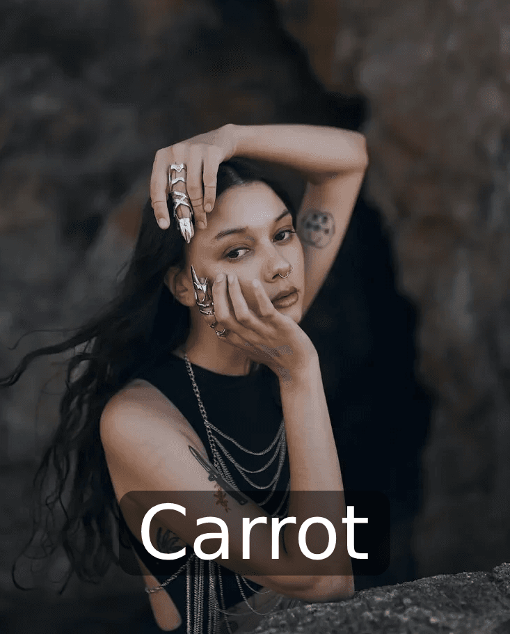 carrot romance very light ds love art and porn