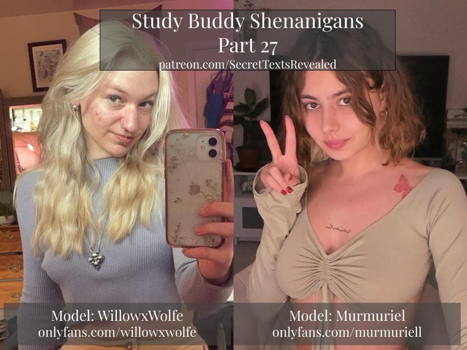Study Buddy Shenanigans Part 27